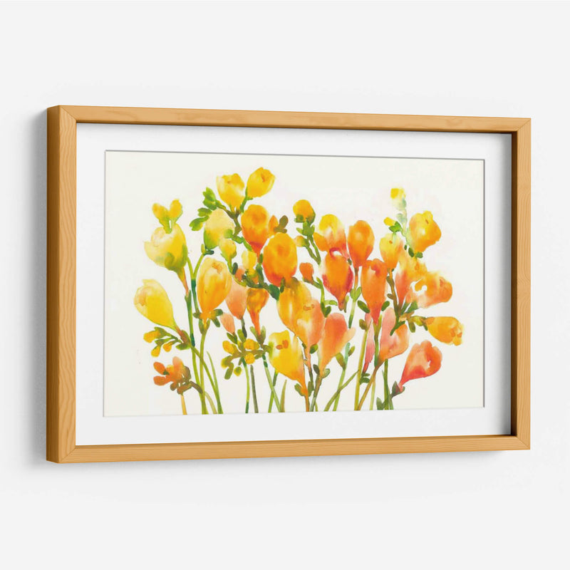 Freesia I - Tim OToole | Cuadro decorativo de Canvas Lab