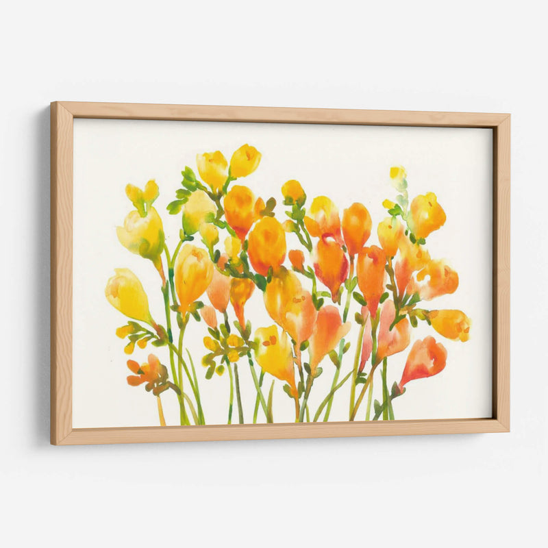 Freesia I - Tim OToole | Cuadro decorativo de Canvas Lab