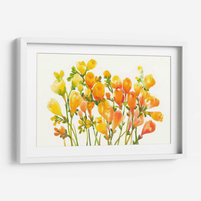 Freesia I - Tim OToole | Cuadro decorativo de Canvas Lab