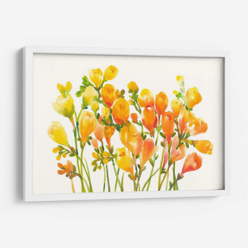 Freesia I - Tim OToole | Cuadro decorativo de Canvas Lab