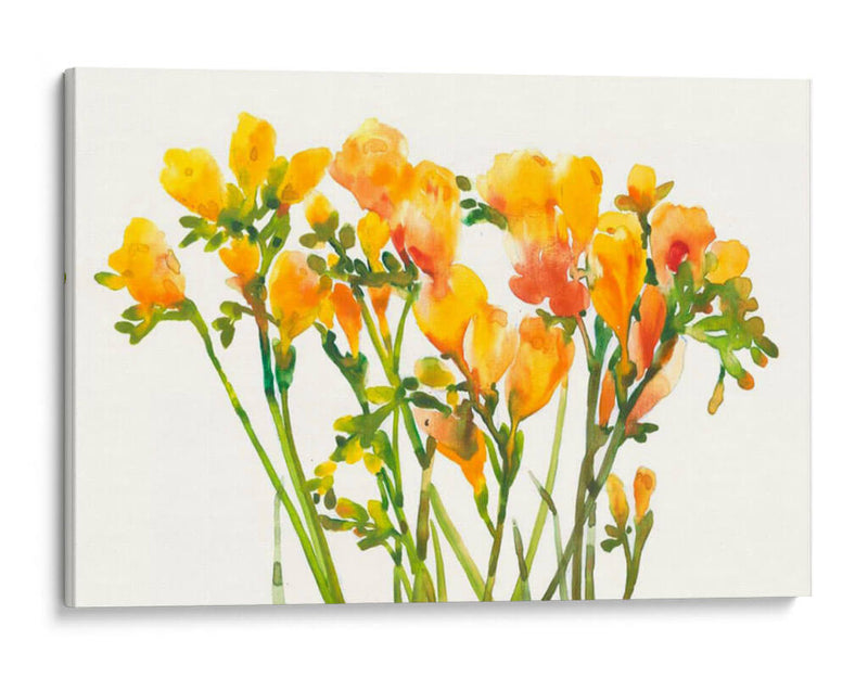 Freesia Ii - Tim OToole | Cuadro decorativo de Canvas Lab