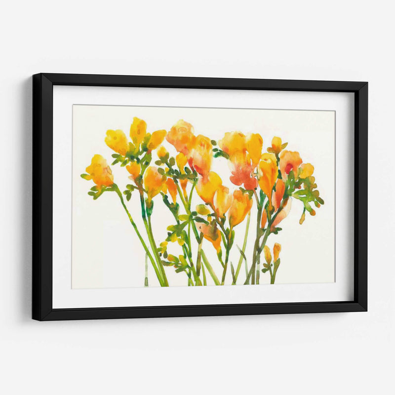 Freesia Ii - Tim OToole | Cuadro decorativo de Canvas Lab