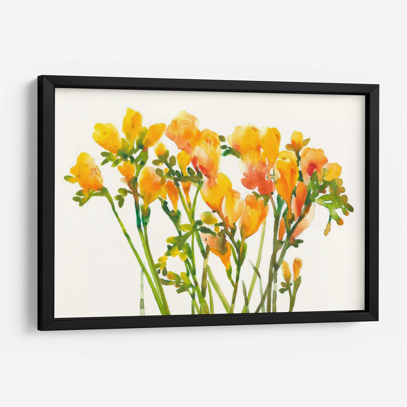 Freesia Ii - Tim OToole | Cuadro decorativo de Canvas Lab