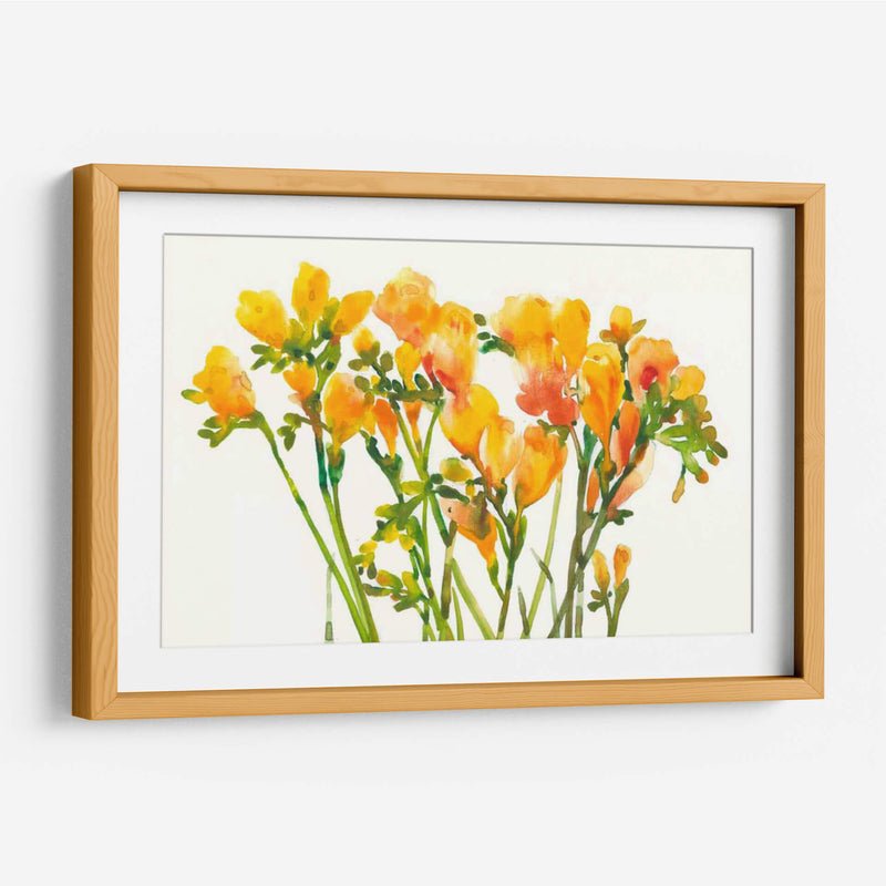 Freesia Ii - Tim OToole | Cuadro decorativo de Canvas Lab