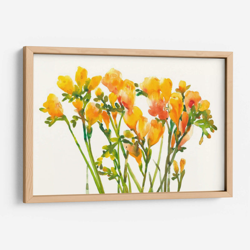 Freesia Ii - Tim OToole | Cuadro decorativo de Canvas Lab