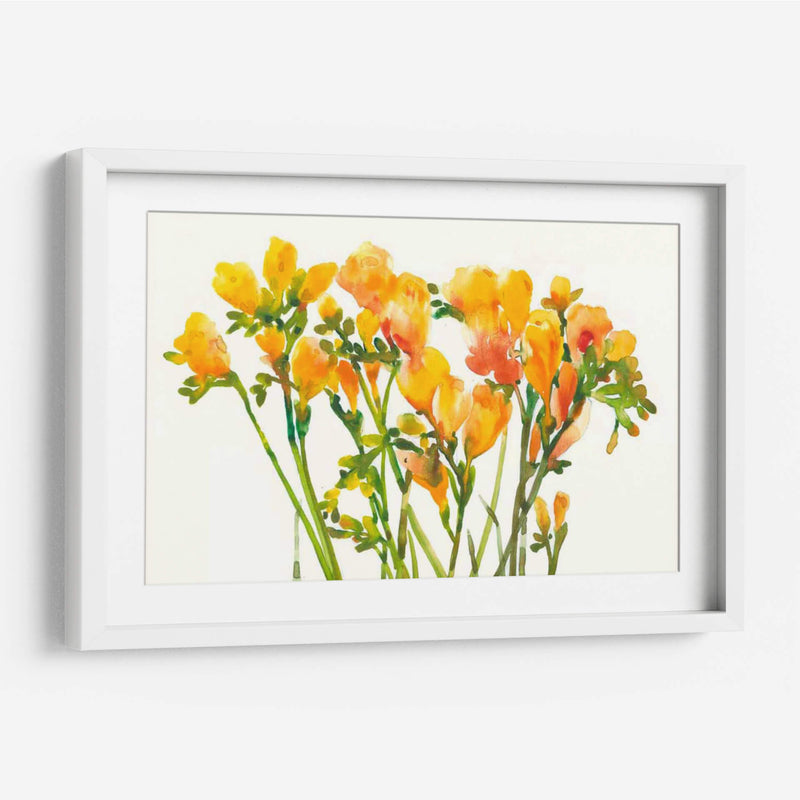 Freesia Ii - Tim OToole | Cuadro decorativo de Canvas Lab