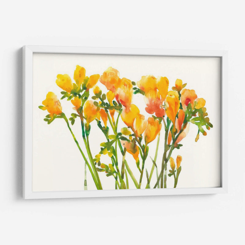 Freesia Ii - Tim OToole | Cuadro decorativo de Canvas Lab