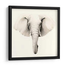 Retrato De Safari Iv - Grace Popp | Cuadro decorativo de Canvas Lab