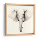 Retrato De Safari Iv - Grace Popp | Cuadro decorativo de Canvas Lab