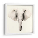 Retrato De Safari Iv - Grace Popp | Cuadro decorativo de Canvas Lab