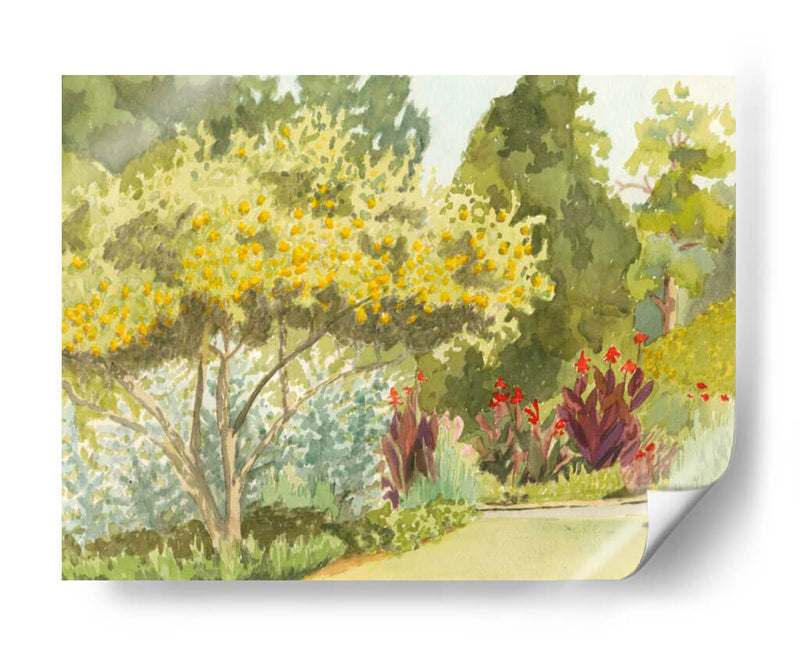 Plein Air Garden Vi - Dianne Miller | Cuadro decorativo de Canvas Lab