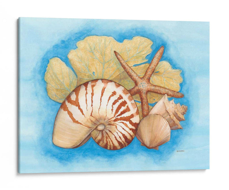Conchas Y Seafan I - Wendy Russell | Cuadro decorativo de Canvas Lab