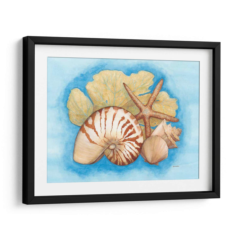 Conchas Y Seafan I - Wendy Russell | Cuadro decorativo de Canvas Lab