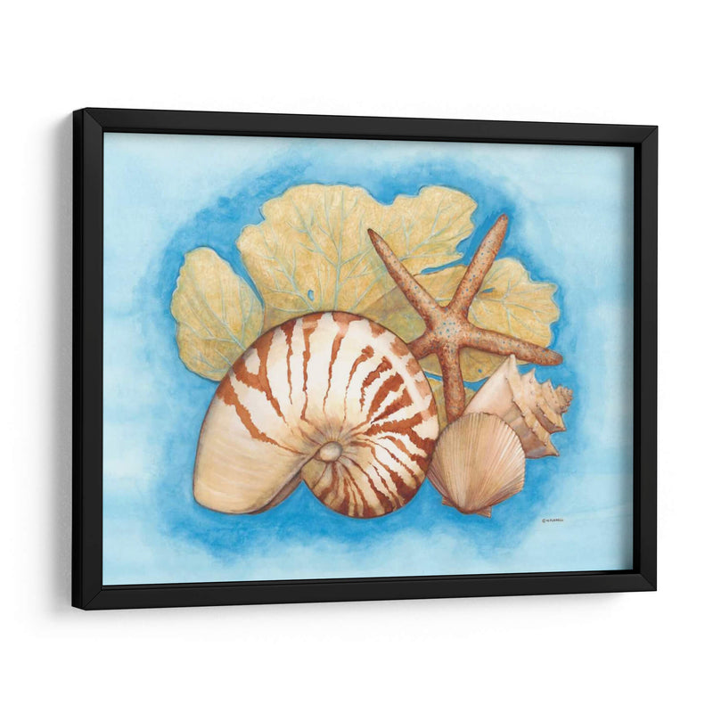 Conchas Y Seafan I - Wendy Russell | Cuadro decorativo de Canvas Lab