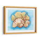 Conchas Y Seafan I - Wendy Russell | Cuadro decorativo de Canvas Lab