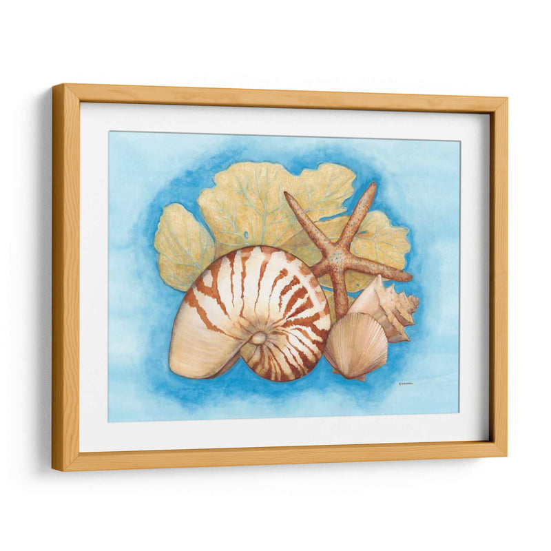 Conchas Y Seafan I - Wendy Russell | Cuadro decorativo de Canvas Lab