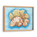 Conchas Y Seafan I - Wendy Russell | Cuadro decorativo de Canvas Lab