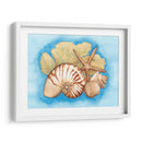 Conchas Y Seafan I - Wendy Russell | Cuadro decorativo de Canvas Lab