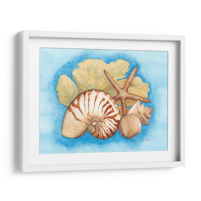 Conchas Y Seafan I - Wendy Russell | Cuadro decorativo de Canvas Lab