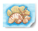 Conchas Y Seafan I - Wendy Russell | Cuadro decorativo de Canvas Lab
