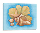 Conchas Y Seafan Ii - Wendy Russell | Cuadro decorativo de Canvas Lab