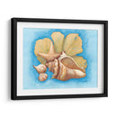 Conchas Y Seafan Ii - Wendy Russell | Cuadro decorativo de Canvas Lab