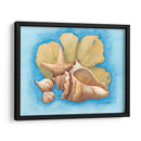 Conchas Y Seafan Ii - Wendy Russell | Cuadro decorativo de Canvas Lab