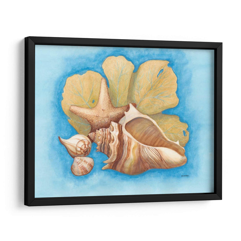Conchas Y Seafan Ii - Wendy Russell | Cuadro decorativo de Canvas Lab