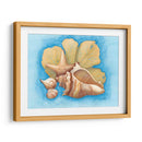 Conchas Y Seafan Ii - Wendy Russell | Cuadro decorativo de Canvas Lab