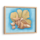 Conchas Y Seafan Ii - Wendy Russell | Cuadro decorativo de Canvas Lab