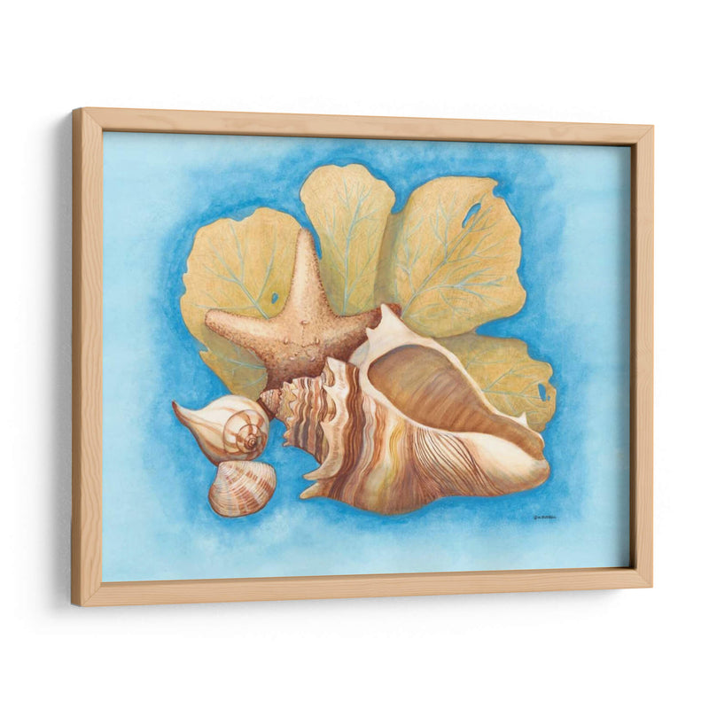Conchas Y Seafan Ii - Wendy Russell | Cuadro decorativo de Canvas Lab
