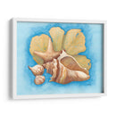 Conchas Y Seafan Ii - Wendy Russell | Cuadro decorativo de Canvas Lab
