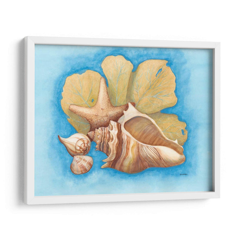 Conchas Y Seafan Ii - Wendy Russell | Cuadro decorativo de Canvas Lab