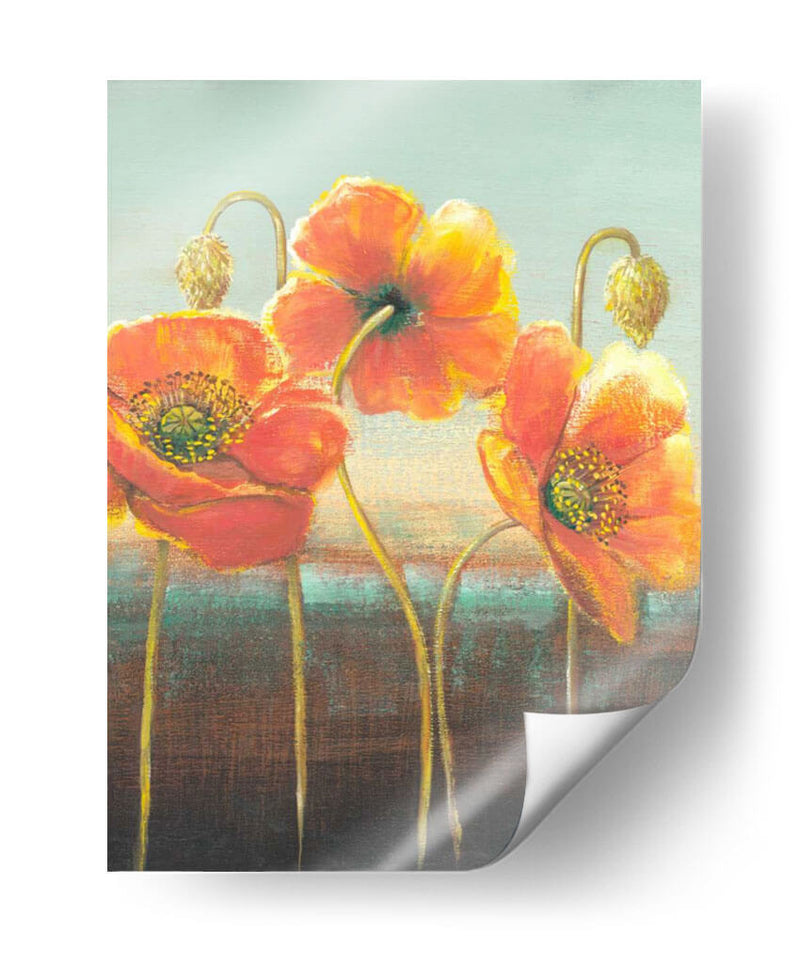 Poppy Tops Ii - Wendy Russell | Cuadro decorativo de Canvas Lab