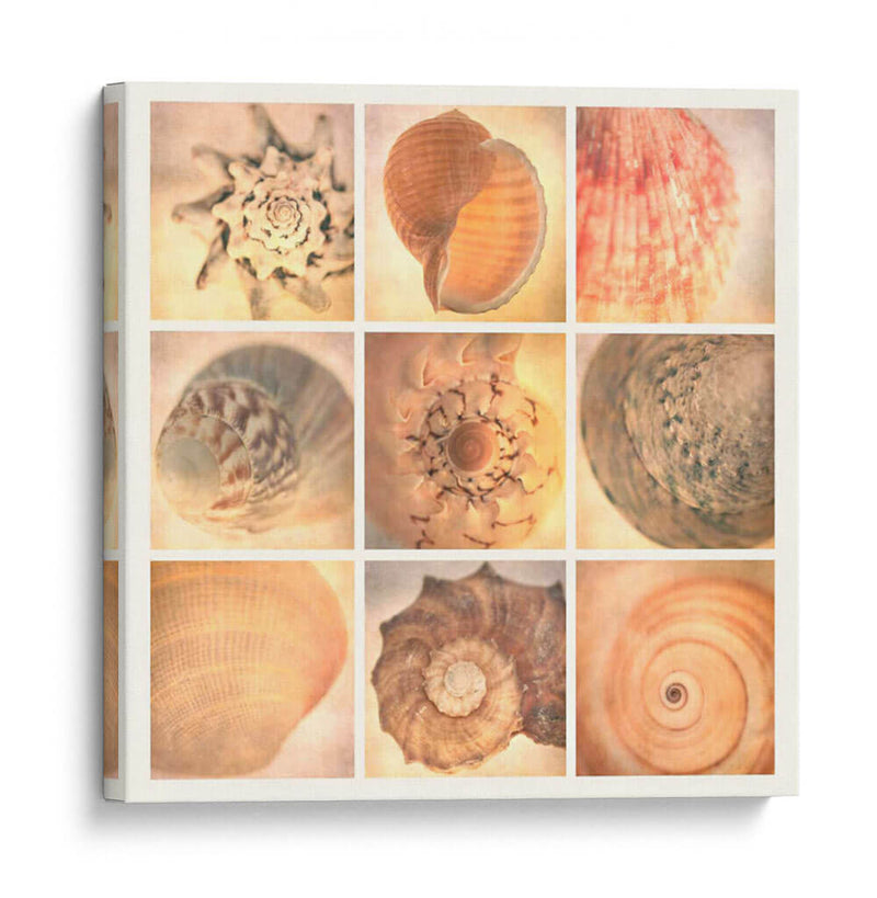 Costa De Coral - Honey Malek | Cuadro decorativo de Canvas Lab