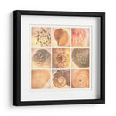 Costa De Coral - Honey Malek | Cuadro decorativo de Canvas Lab