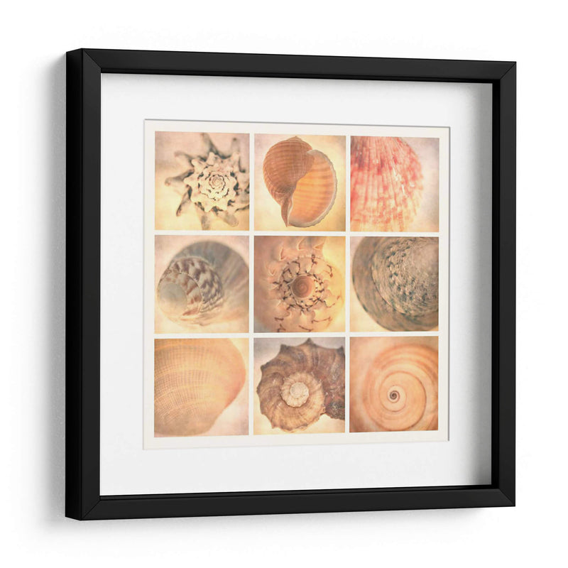 Costa De Coral - Honey Malek | Cuadro decorativo de Canvas Lab