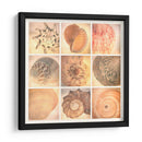 Costa De Coral - Honey Malek | Cuadro decorativo de Canvas Lab