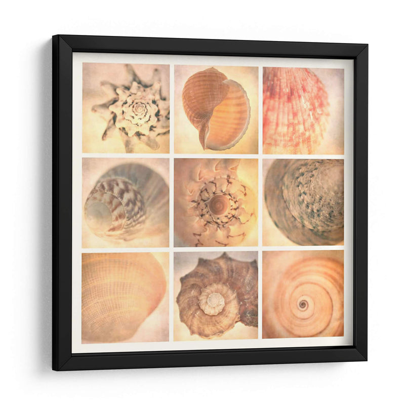 Costa De Coral - Honey Malek | Cuadro decorativo de Canvas Lab