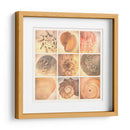 Costa De Coral - Honey Malek | Cuadro decorativo de Canvas Lab