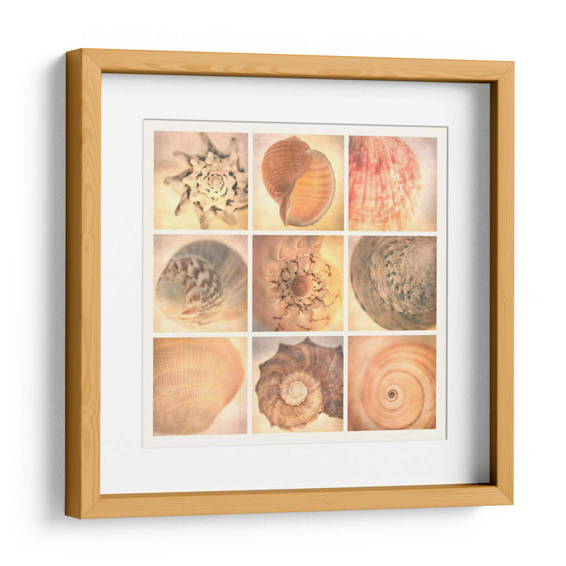 Costa De Coral - Honey Malek | Cuadro decorativo de Canvas Lab