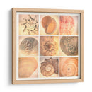 Costa De Coral - Honey Malek | Cuadro decorativo de Canvas Lab