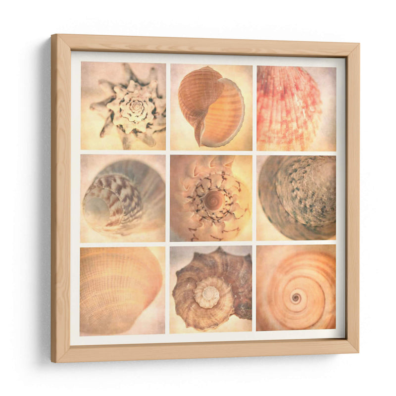 Costa De Coral - Honey Malek | Cuadro decorativo de Canvas Lab