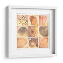 Costa De Coral - Honey Malek | Cuadro decorativo de Canvas Lab