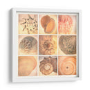 Costa De Coral - Honey Malek | Cuadro decorativo de Canvas Lab