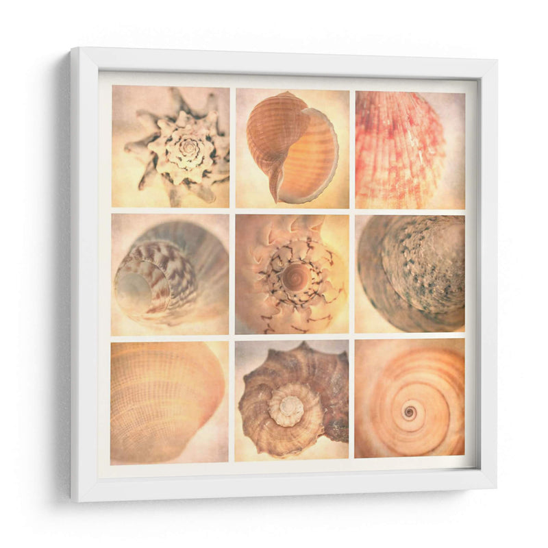 Costa De Coral - Honey Malek | Cuadro decorativo de Canvas Lab