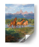 Sentirse Libre - Claire Goldrick | Cuadro decorativo de Canvas Lab