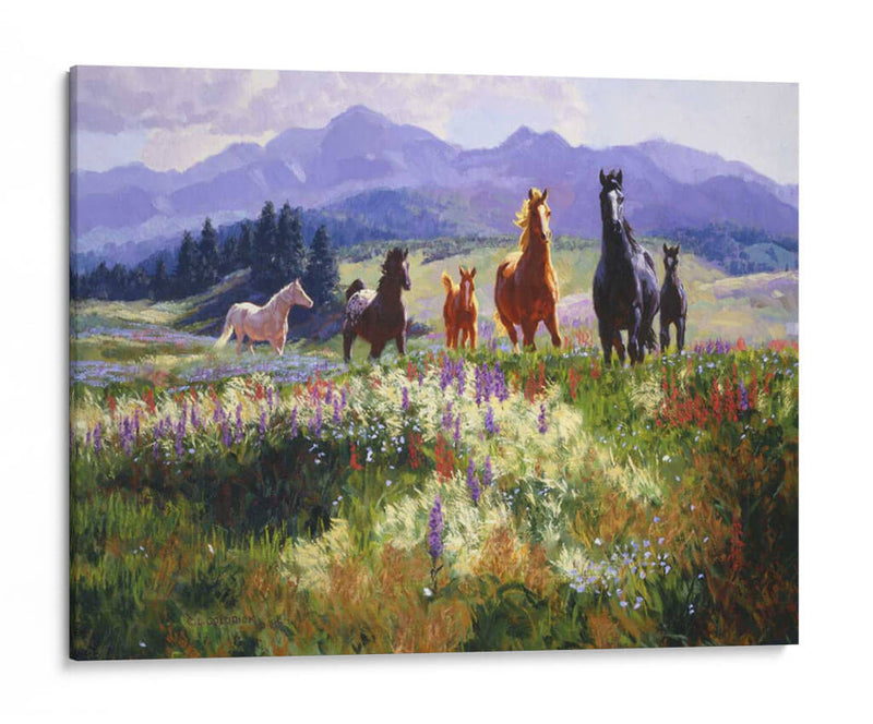 Allure Wildflower - Claire Goldrick | Cuadro decorativo de Canvas Lab