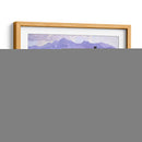 Allure Wildflower - Claire Goldrick | Cuadro decorativo de Canvas Lab