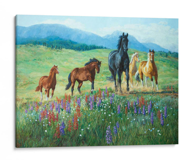 Sendero De Flores Silvestres - Claire Goldrick | Cuadro decorativo de Canvas Lab